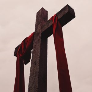 alicia-quan-kBybHJ3CEWI-unsplash alicia-quan-kBybHJ3CEWI-unsplash